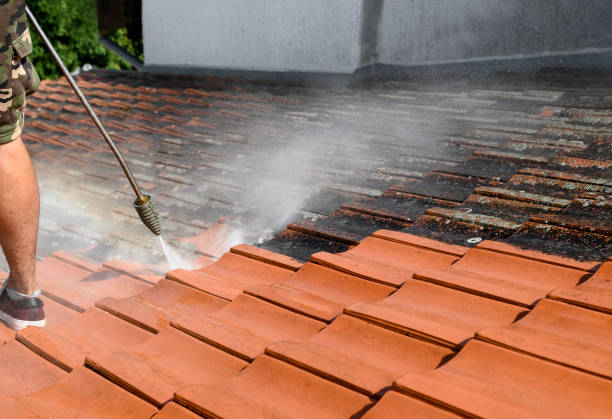 Best Pressure Washing Brick  in Rothschild, WI